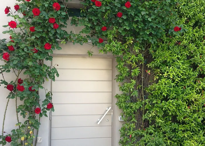 Ξενοδοχείο Aurora